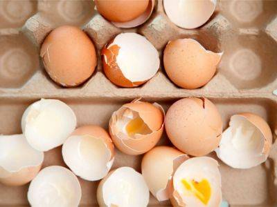 Should You Be Baking Eggshells For Compost? - gardeningknowhow.com