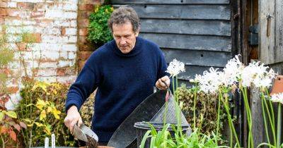 Monty's gardening jobs for November - gardenersworld.com