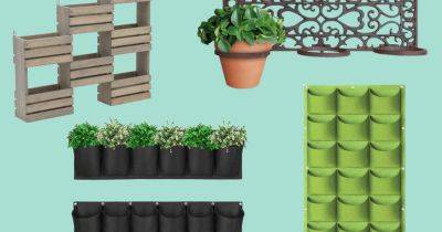 10 best garden wall planters and living walls - gardenersworld.com