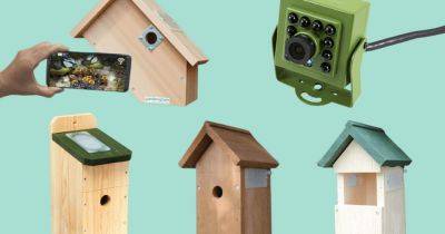 9 of the Best Bird Box Cameras in 2023 - gardenersworld.com