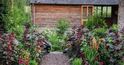 Garden Border Ideas: Beautiful Planting Ideas for the Garden - gardenersworld.com