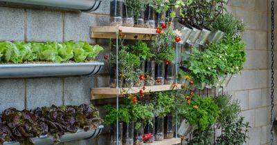 25 Budget Garden Ideas - gardenersworld.com
