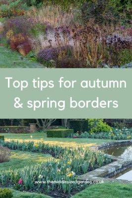 Brilliant border maintenance – what to do now for next summer’s success - themiddlesizedgarden.co.uk - Britain
