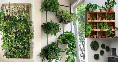 35 Houseplant Vertical Garden Pictures for Inspiration - balconygardenweb.com