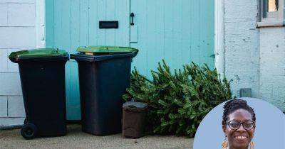 Is it time to give up Christmas trees? - gardenersworld.com - Britain