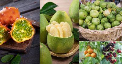34 Man Made Fruits that Will Surprise You - balconygardenweb.com - state California