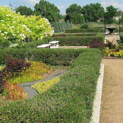 How to Incorporate Arid Native Plants in Formal Garden Designs - finegardening.com