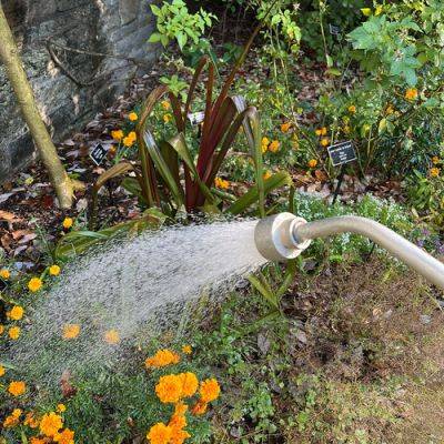 Use a Watering Bag to Establish New Trees - finegardening.com