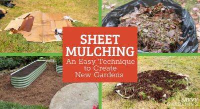 Sheet Mulching: A Simple Way to Make New Gardens and Paths - savvygardening.com