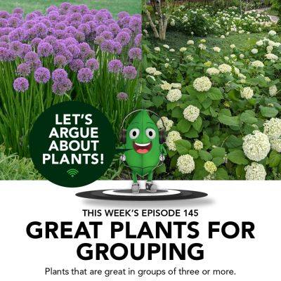 Episode 145: Great Plants for Grouping - finegardening.com - Japan - state Maine - county Garden
