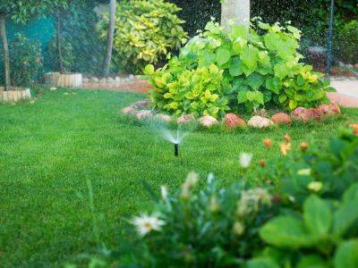 Hydrozoning: A More Water-Efficient Way To Garden - gardeningknowhow.com