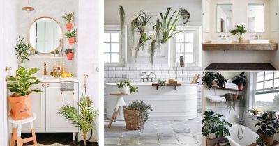 19 Best Ways to Grow Plants in the Bathroom (Bathroom Plant Decor) - balconygardenweb.com