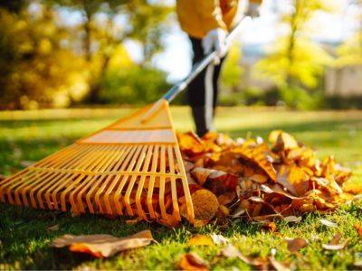 What (Not) To Do With Your Garden In The Fall - gardeningknowhow.com - county Garden
