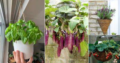 25 Best Edible Plants for Hanging Baskets - balconygardenweb.com