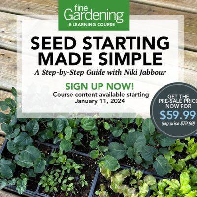 Seed Starting Made Simple: A Step-by-Step Guide with Niki Jabbour - finegardening.com - Usa - Canada