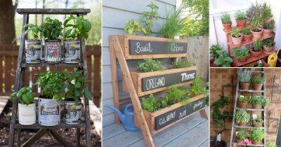 24 Ladder Herb Garden Ideas - balconygardenweb.com