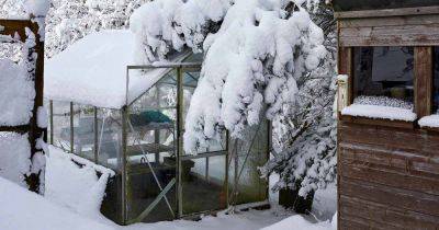 35 of the Best Crops for Your Winter Greenhouse - gardenerspath.com