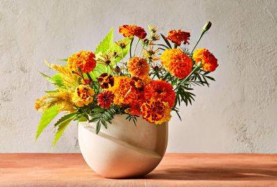 5 Facts About Marigolds You Probably Didn't Know - bhg.com - Usa - Britain - France - Spain - Mexico