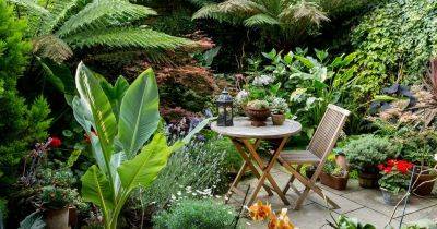 30 Small Garden Design Ideas - gardenersworld.com