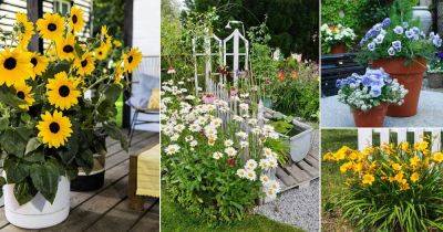 14 Simple Flowers for Gardens and Homes - balconygardenweb.com