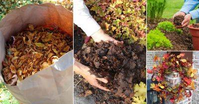 22 Garden Things to Do with Fallen Leaves in Fall - balconygardenweb.com