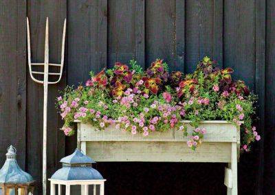 8 Fall Flower Box Ideas To Dress Up Your Windows - southernliving.com - Britain