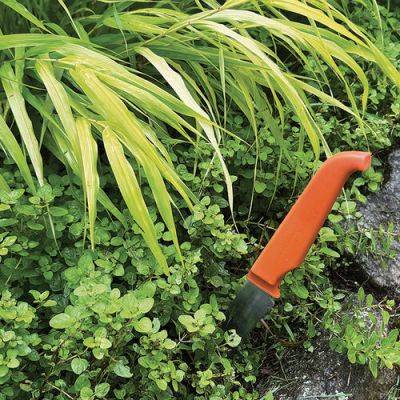 Readers Tips: Repurposed Tools in the Garden Used to Great Effect - finegardening.com - state Wisconsin - county Garden