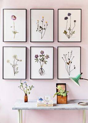 Still life: how to press flowers for your own collection - theenglishgarden.co.uk - Britain