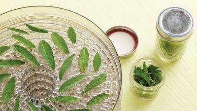 4 Easy Ways to Preserve Fresh Herbs from the Garden - gardengatemagazine.com