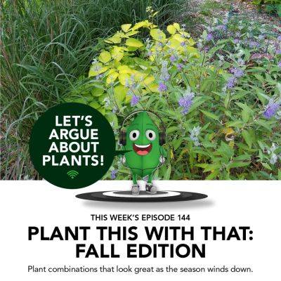 Episode 144: Plant This with That: Fall Edition - finegardening.com - state California