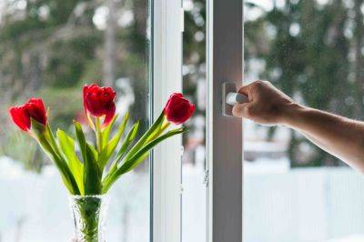 Double glazing solutions for a more energy-efficient home - growingfamily.co.uk - France