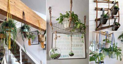20 Quirky Ways to Hang Houseplants - balconygardenweb.com