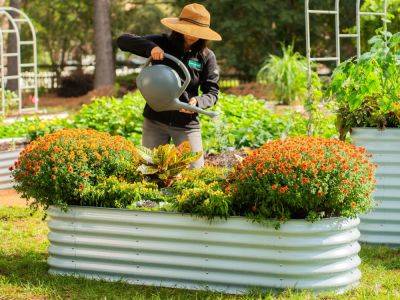 How I Replaced My Yard With Raised Garden Beds - gardeningknowhow.com