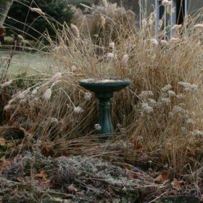 Garden Chores to Tackle in Late Fall and Through the Winter - finegardening.com
