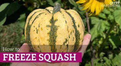 How to Freeze Squash: Tips to Preserve Your Harvest for Recipes - savvygardening.com