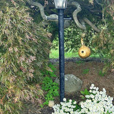 How to Make Birdhouses Out of Gourds - finegardening.com