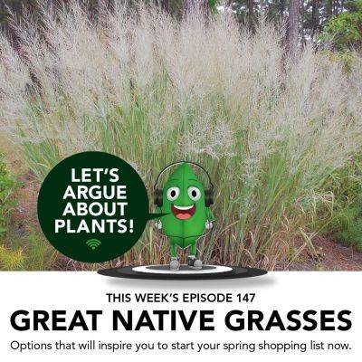 Episode 147: Great Native Grasses - finegardening.com - Usa - India - state Pennsylvania