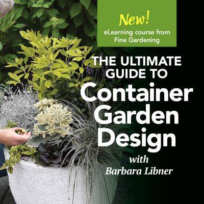 The Ultimate Guide to Container-Garden Design - finegardening.com