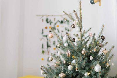 The Easiest Ornament Hack We Spotted for the Holiday Season - thespruce.com