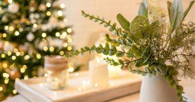 Your gardening questions answered: What plants can I use for home-made Christmas decorations? - irishtimes.com