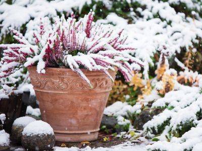 This Expert Trick To Stop Terracotta Pots Cracking Is So Simple - gardeningknowhow.com - Italy