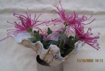 In a Vase on Monday: Pearl - ramblinginthegarden.wordpress.com