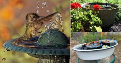9 DIY Hummingbird Birdbath Ideas - balconygardenweb.com