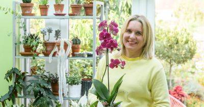 Five expert tips for orchids that last for longer - gardenersworld.com