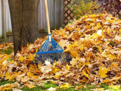 5 Garden Tidying Jobs You Need To Stop Doing Now - gardeningknowhow.com