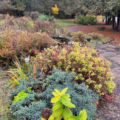 Fall in Anne’s Northern Garden - finegardening.com - Canada - Norway - state Indiana - county Ontario
