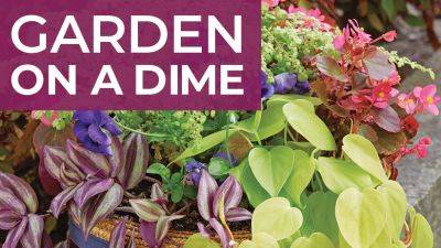 Best Budget Garden Tips from Our Readers - gardengatemagazine.com - state Illinois
