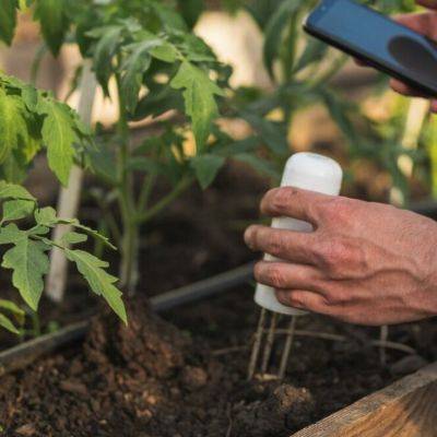 Soil Moisture Analytics For Sustainable Gardening: Reducing Water Waste And Environmental Impact - gardencentreguide.co.uk