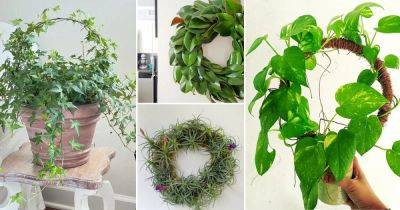 17 DIY Indoor Plant Wreath Ideas - balconygardenweb.com