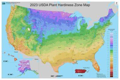 What All Gardeners Need to Know About the New USDA Hardiness Zone Map - thespruce.com - Usa